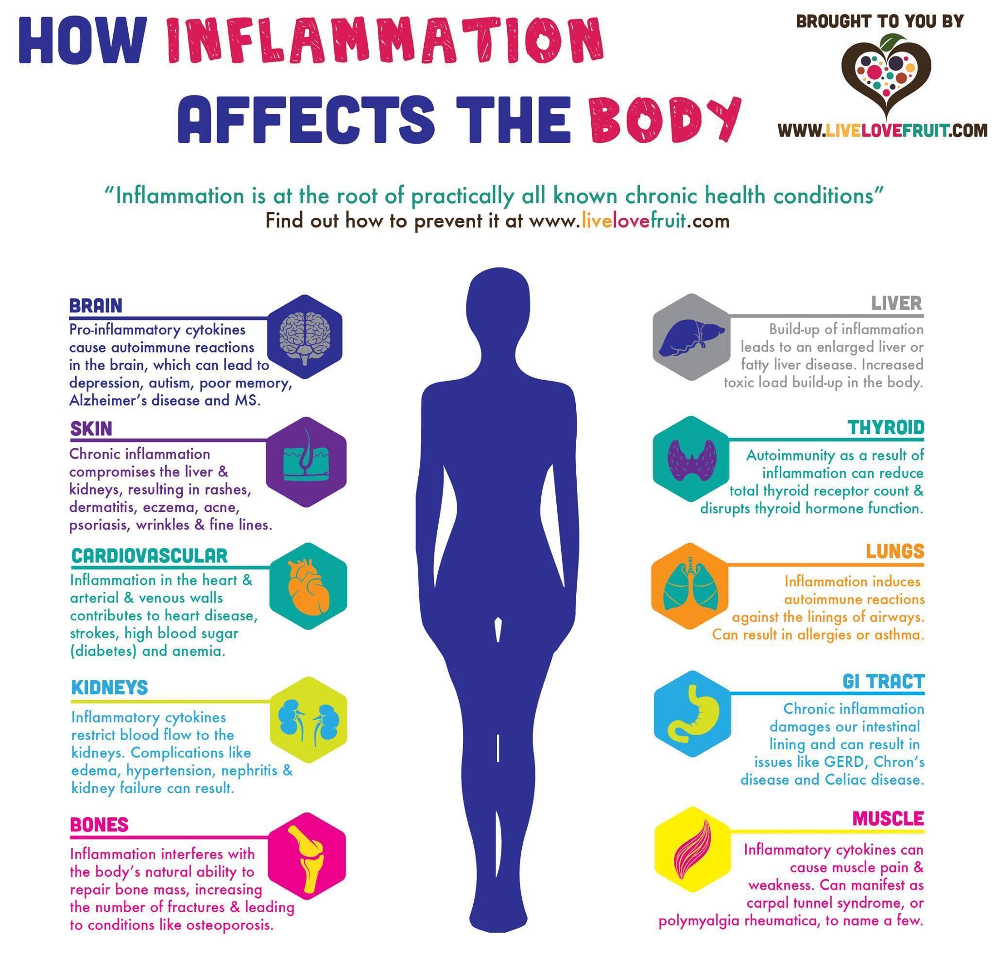 10 Ways Chronic Inflammation Affects Your Internal Organs ...
