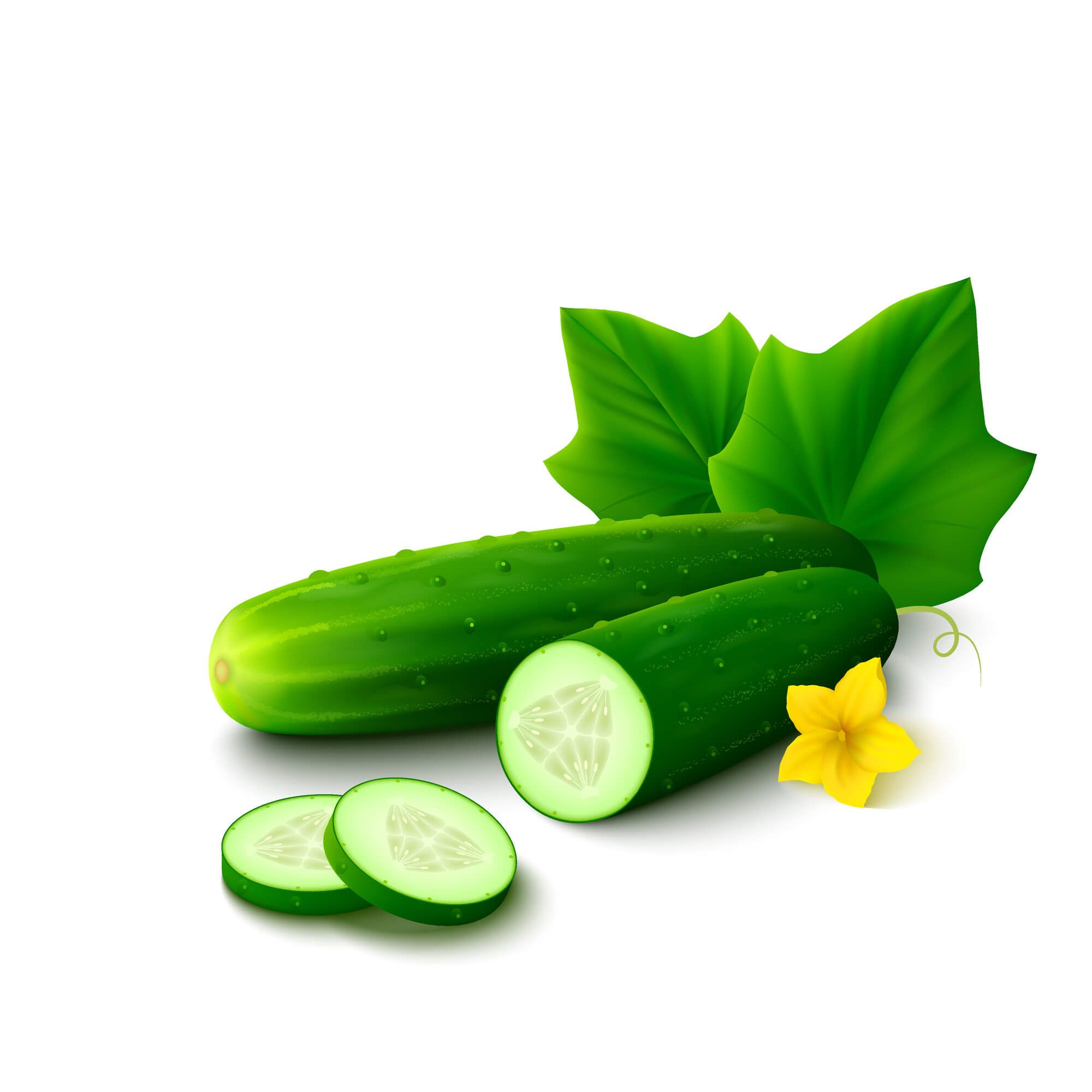 19 Wonderful Uses for Cucumber Seed Oil