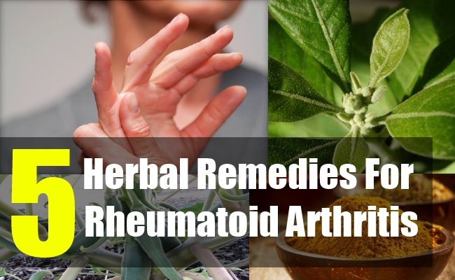 5 Best Herbal Remedies For Rheumatoid Arthritis