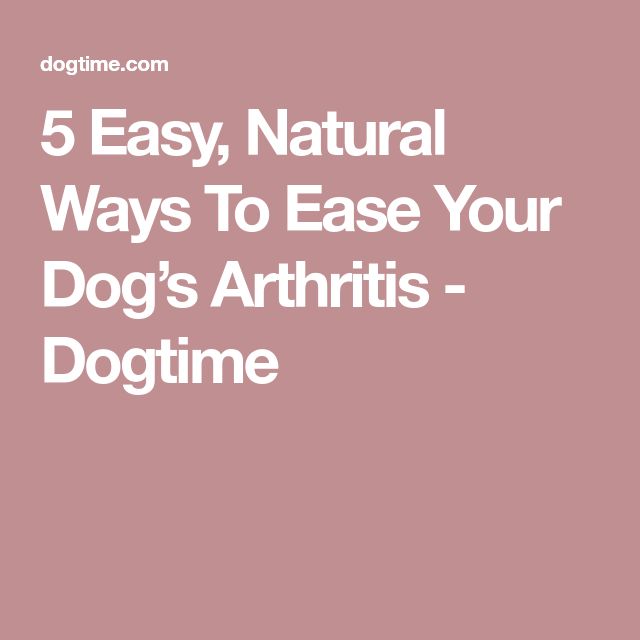 5 Easy, Natural Ways To Ease Your Dogs Arthritis