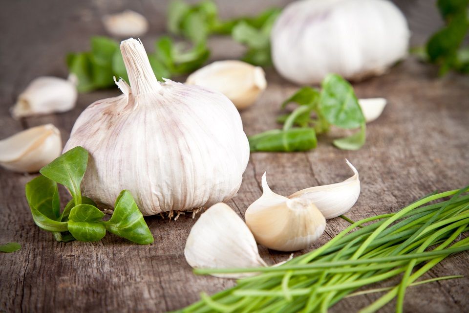 9 Health Benefits From Eating Garlic