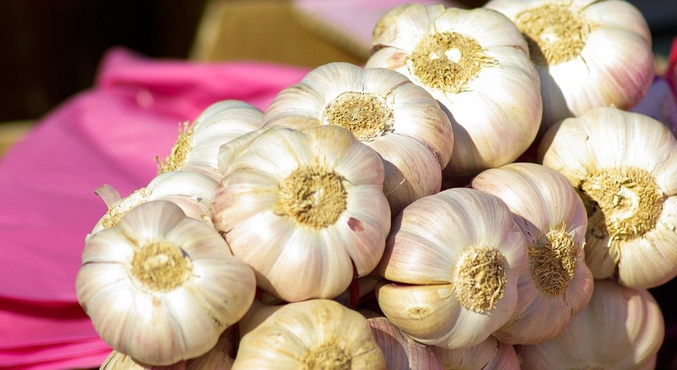 9 Working Remedies to Use Garlic For Back Pain