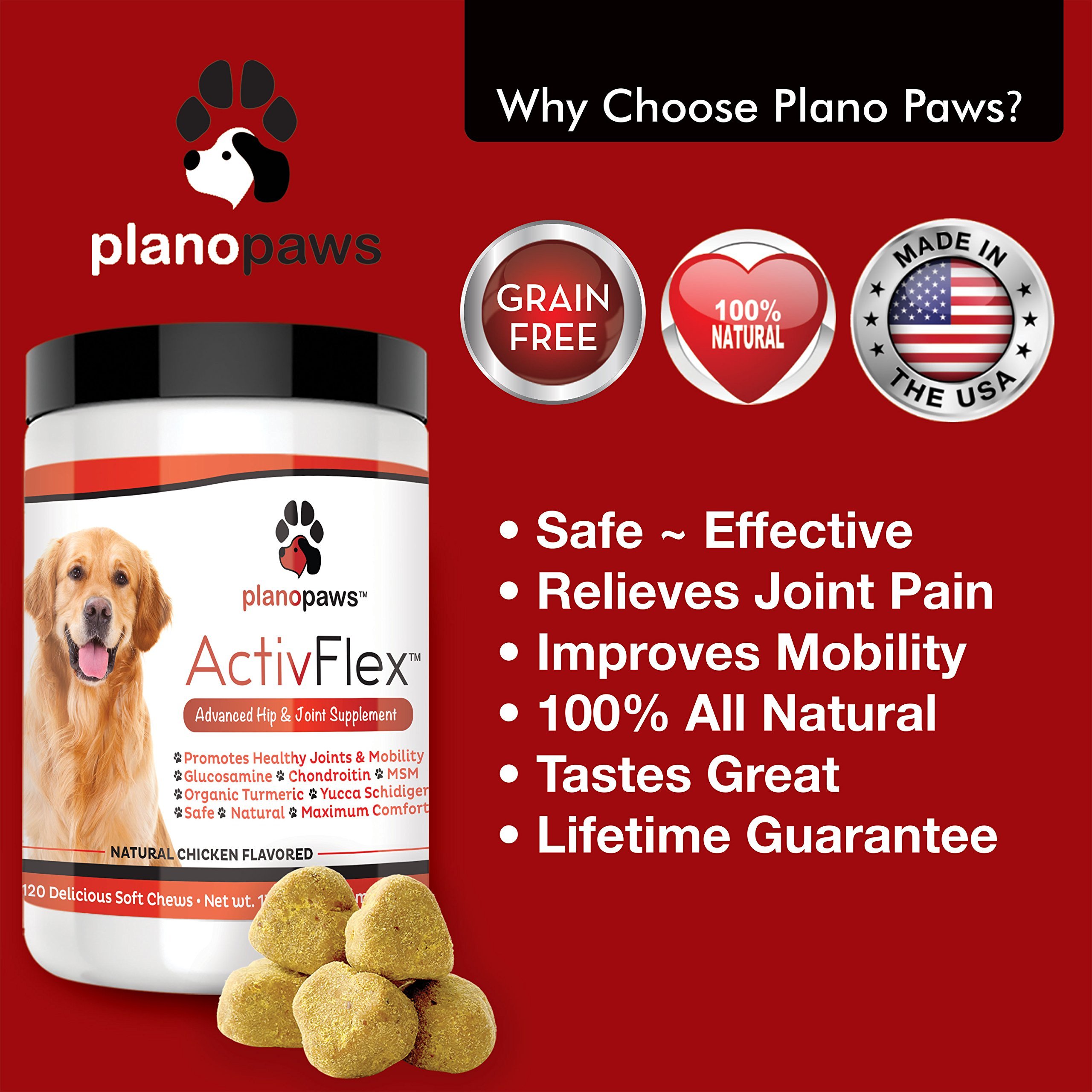 ActivFlex, Best Glucosamine for Dogs, Safe Arthritis Pain Relief, All ...