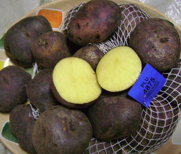 Andean black potatoes (S. tuberosum)