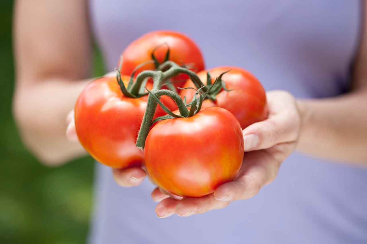 Are Tomatoes Bad for Arthritis? and Other Myths ...