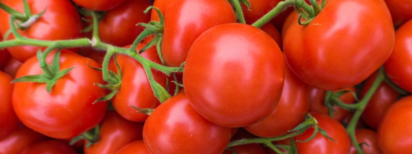 Are tomatoes bad for arthritis?