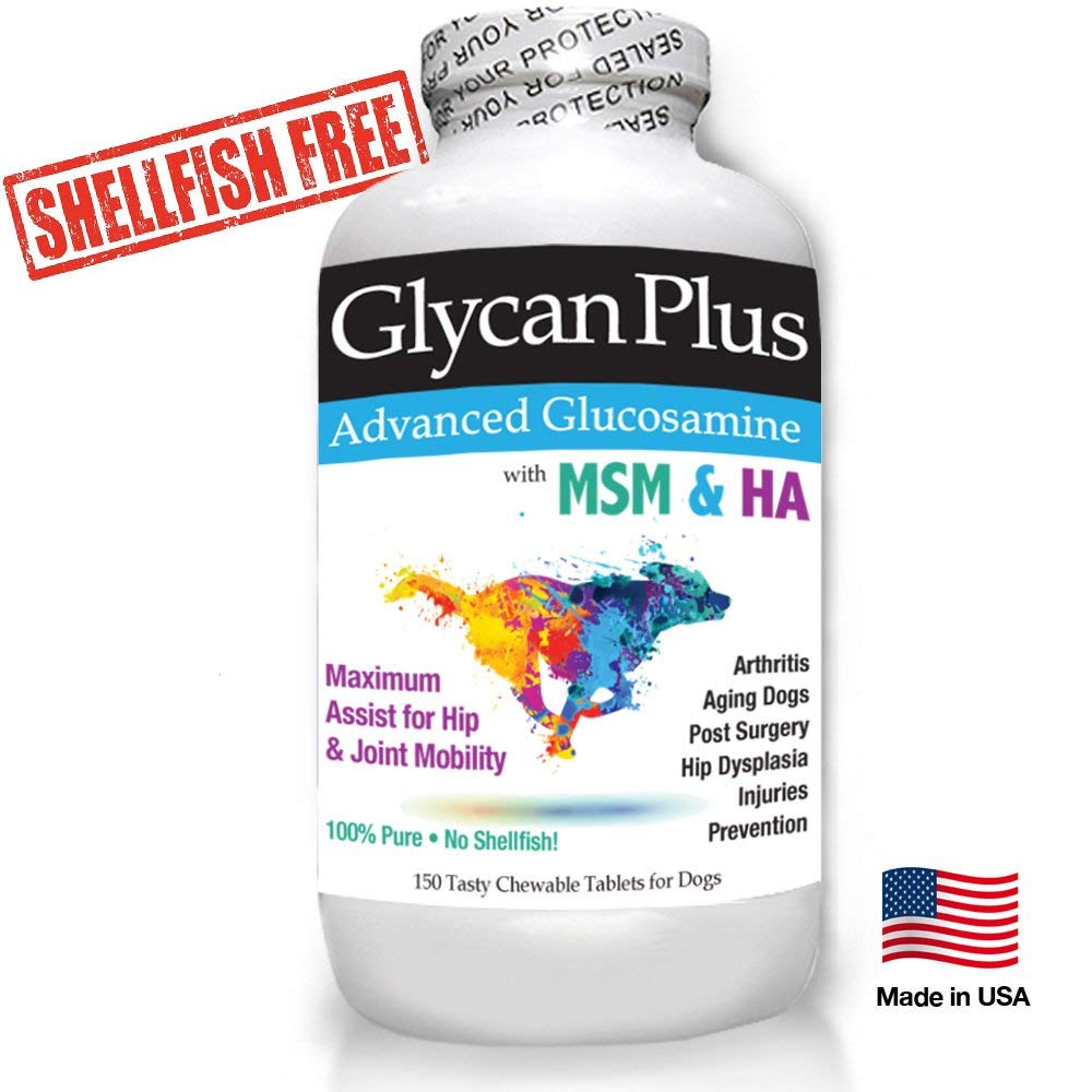 Buy Best Glycan Plus Glucosamine for Dog w/ Chondroitin, MSM, HA ...