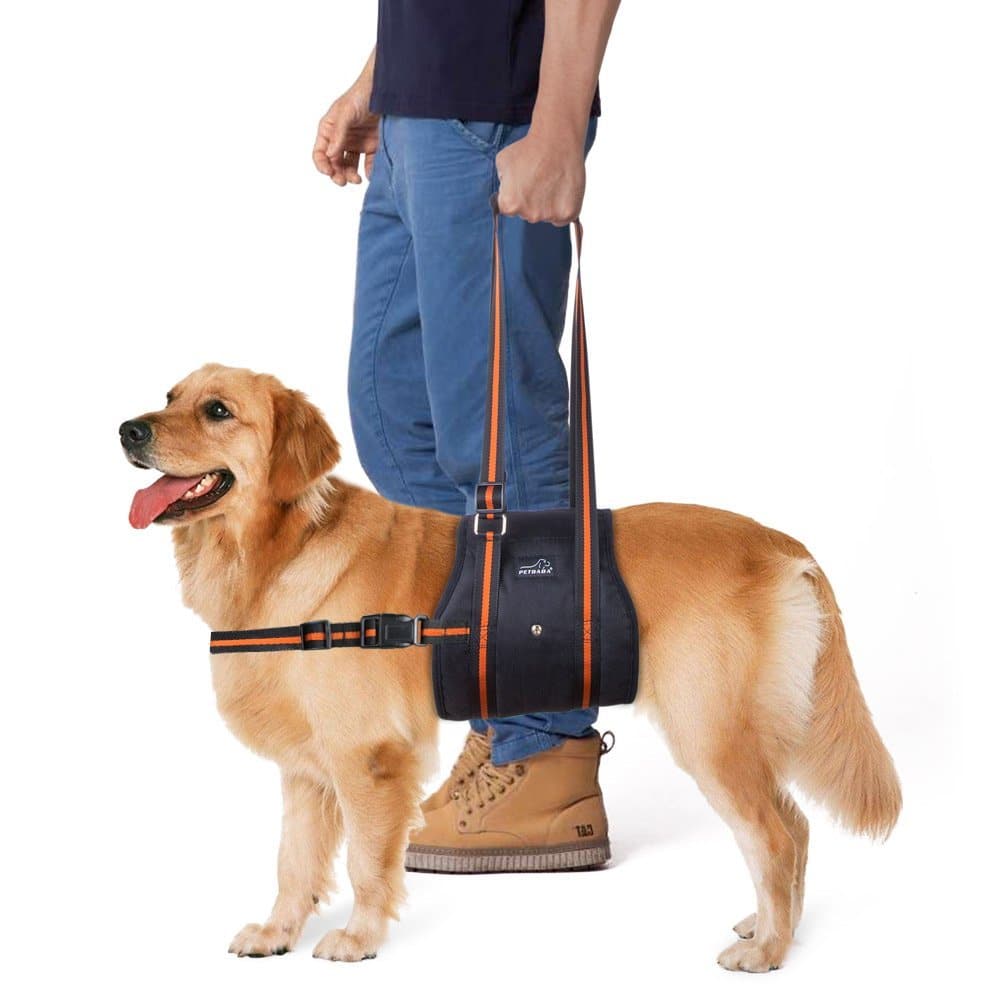 Buy PETBABA Dog Lift Harness, Support Lifting Sling Assist Mobility and ...