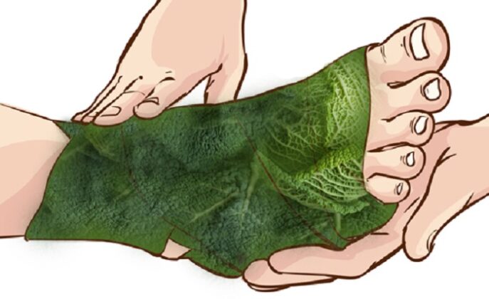 Cabbage leaf bandage for joint pain relief