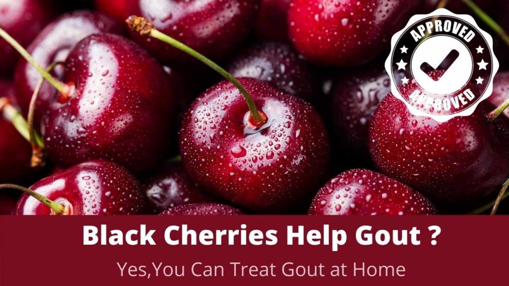 Can Eating Black Cherries Help Gout? Black Cherry Gout Treatment