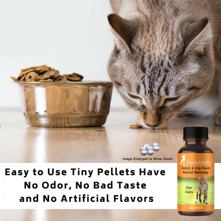 Cat Joint and Arthritis Pain Relief Support  Petsability