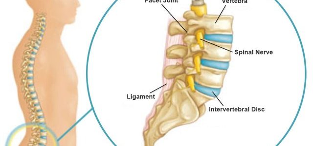 Degenerative Arthritis In Lower Back