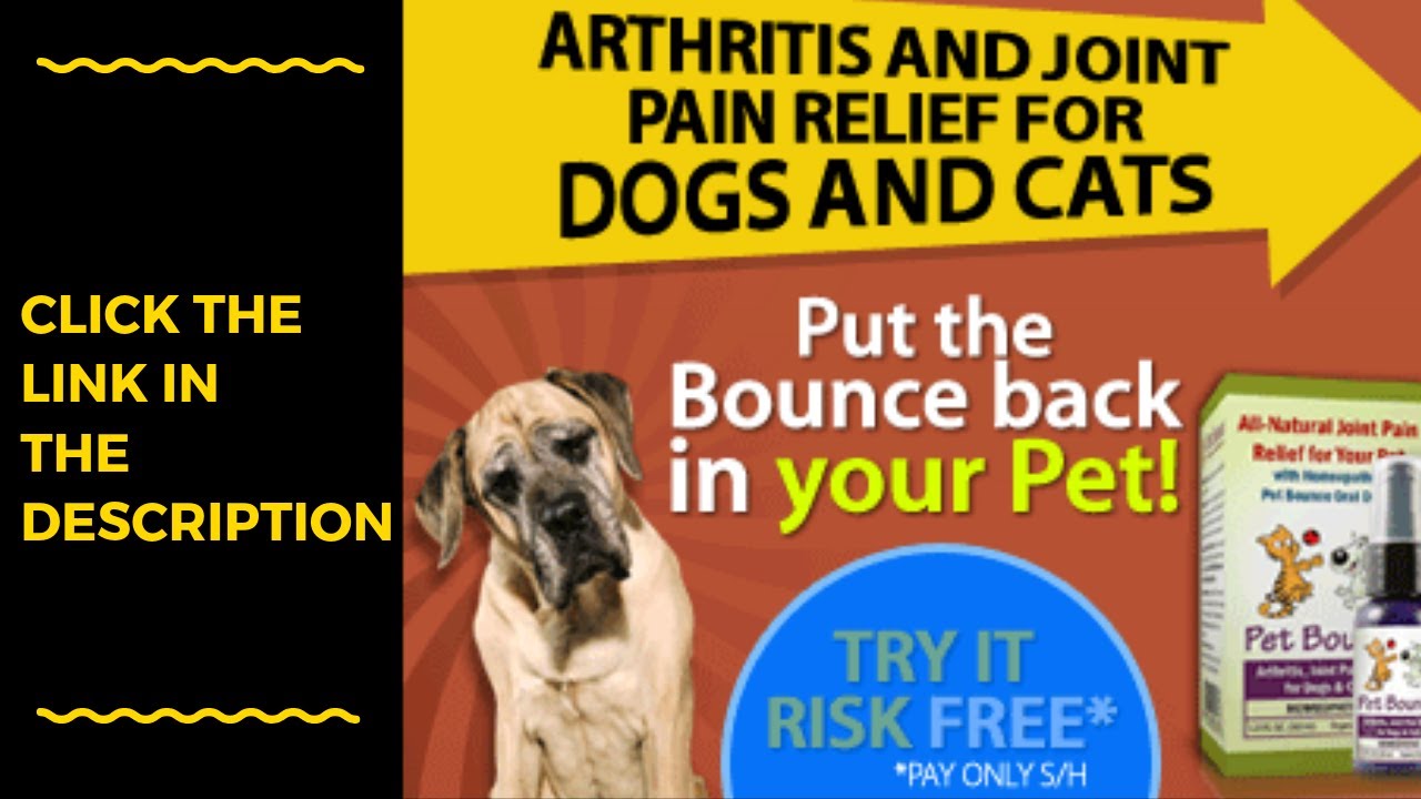 Dog Arthritis Pain Relief Over The Counter Uk Arthritis Over The ...