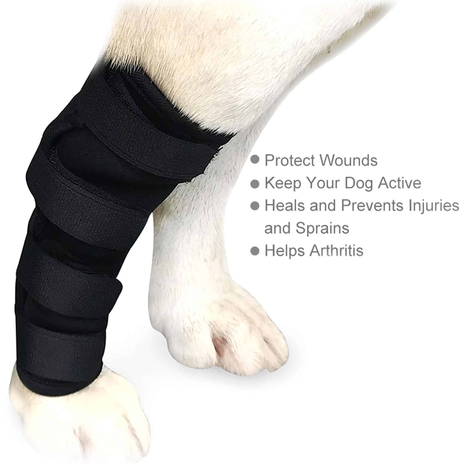 Dog Hock Leg Knee Brace Support Arthritis Injury Wound Protection Pet ...