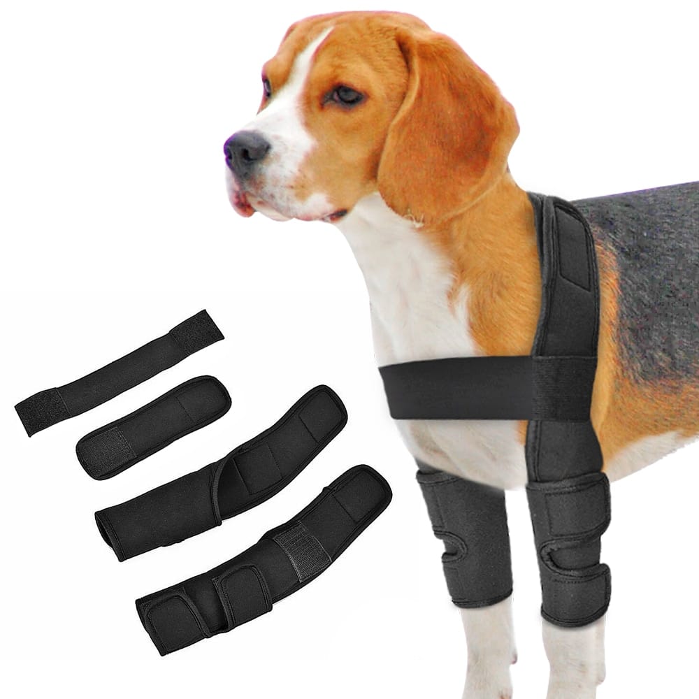 Dog Knee Brace Injuries Leg Brace Surgical Joint Wrap Dog Wounds Heals ...