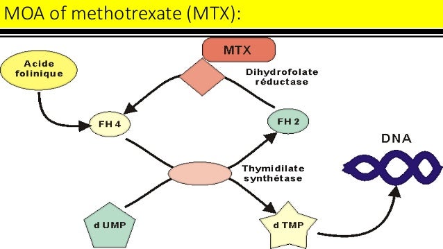 Methotrexate in ttt of rheumatoid arthritis