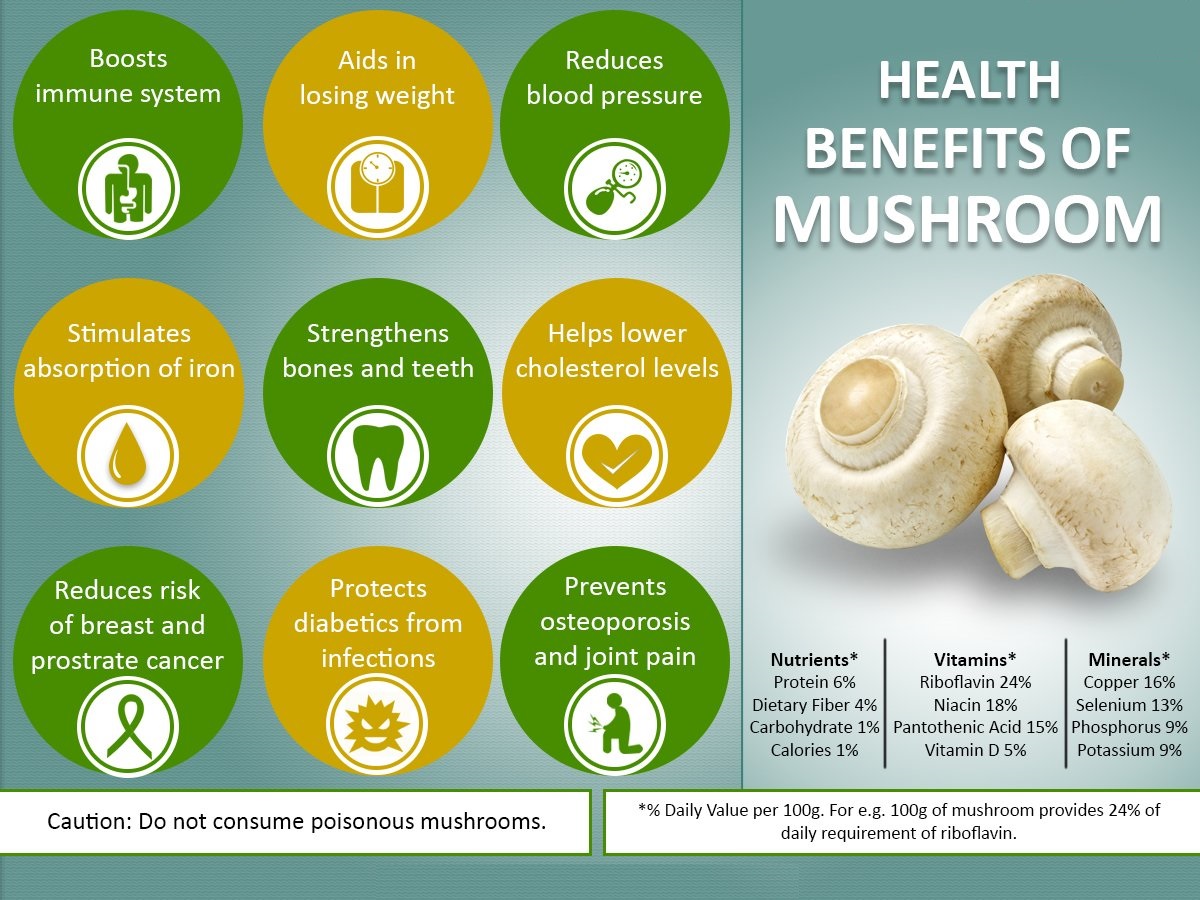 Mushroom Health Benefits