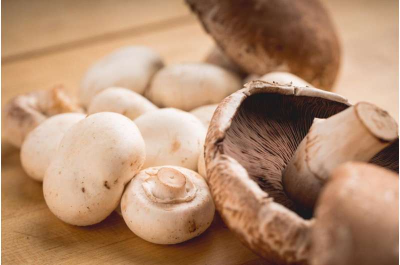 Mushrooms add important nutrients when included in the typical diet