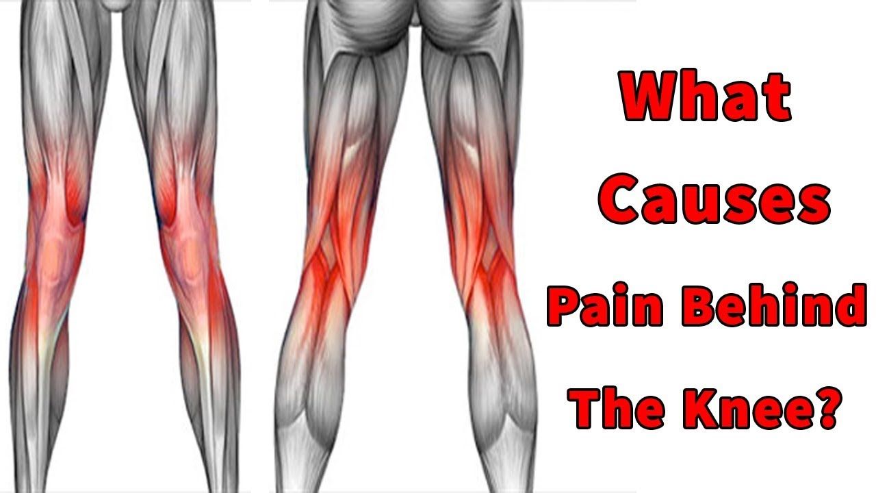 Pin on What Causes Pain Behind The Knee Pain Behind Knee ...