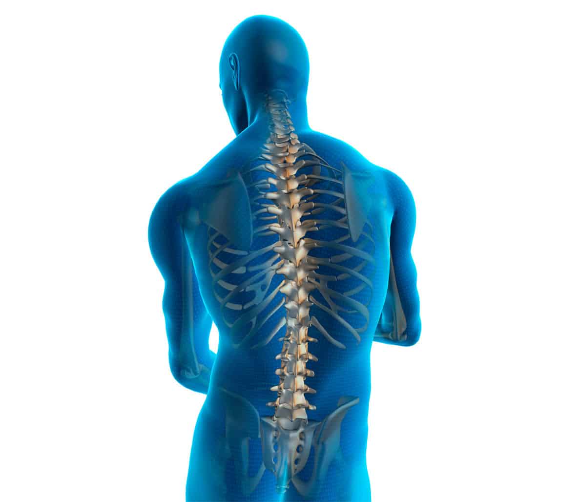 Sore Back Spine. 7 Common Causes of Back Pain and Easy Solutions ...