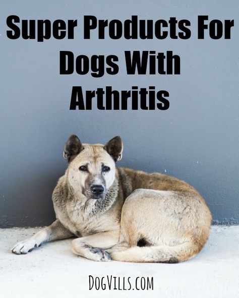 Super Products For Dogs With Arthritis