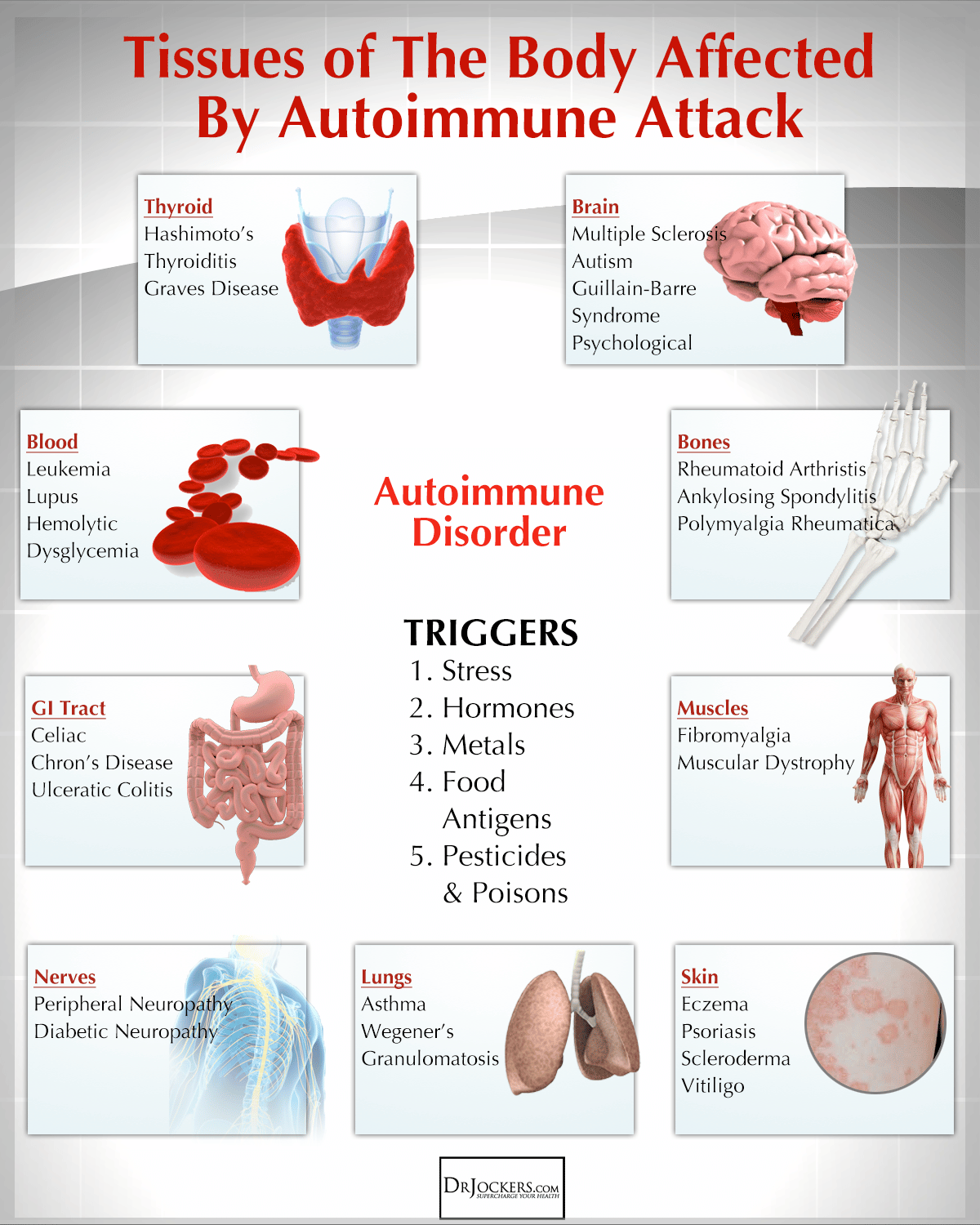 The AutoImmune Nutrition Plan To Reduce Inflammation