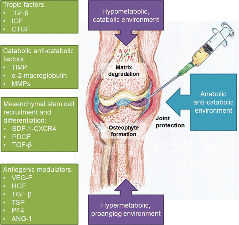 The use of PRP injections in the management of knee osteoarthritis ...