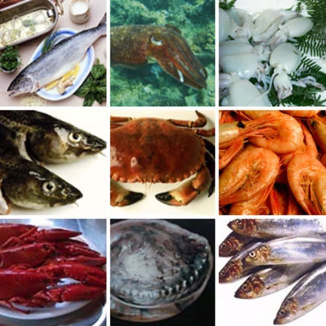 Thermo ScientificImmunoCAP Fish, Shellfish and Mollusk Allergens ...