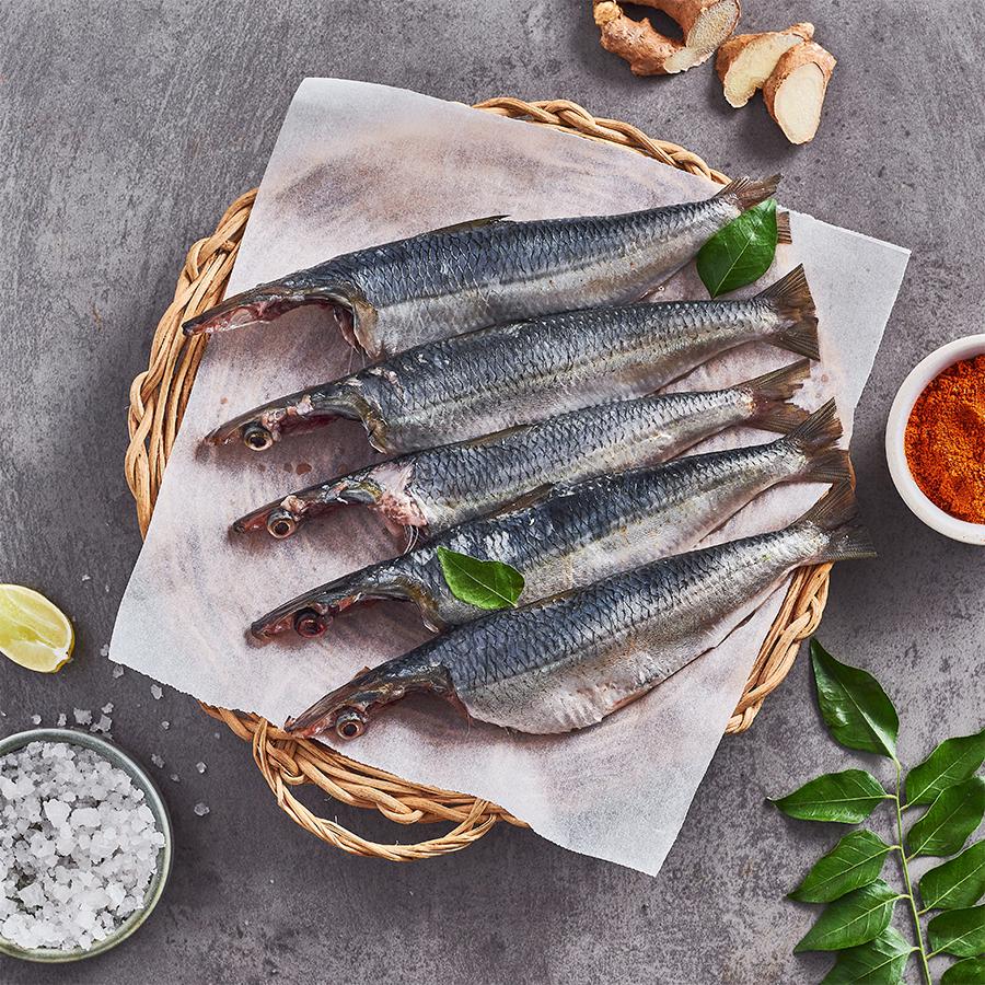 Top 10 Healthiest Indian Fishes