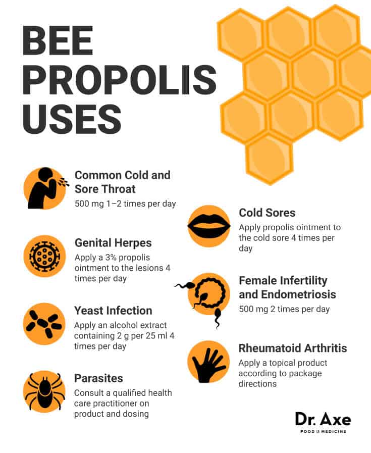 Top 6 Bee Propolis Benefits & Bee Propolis Uses