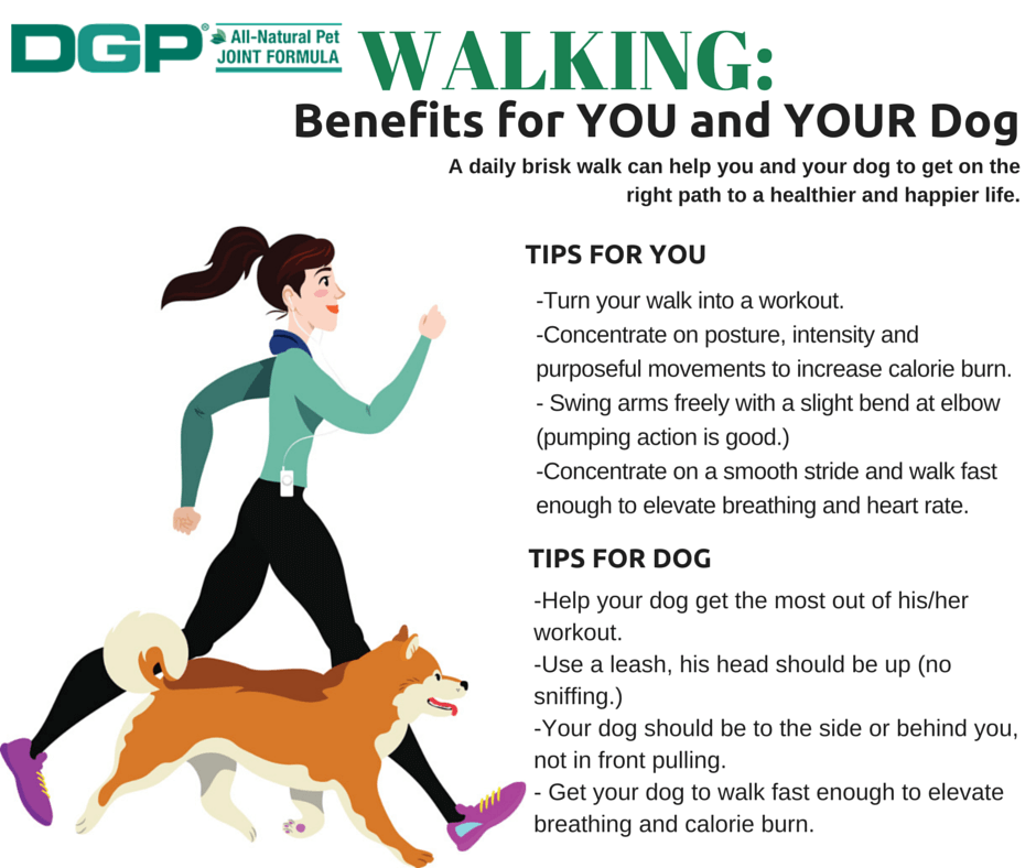 Walking: Benefits for YOU and YOUR dog