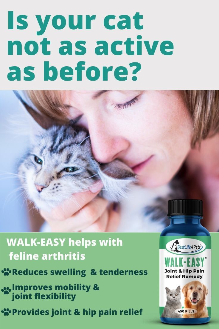 What Can I Give My Cat For Joint Pain